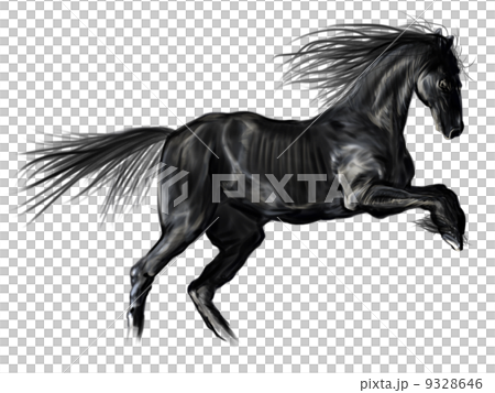 Black horse Black horse 9328646