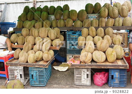 ヤンゴン ドリアン店 yangon 2013 ヤンゴン ドリアン店 yangon 2013 9328822