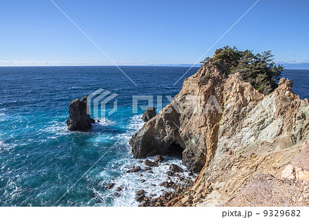 西伊豆　黄金崎 9329682