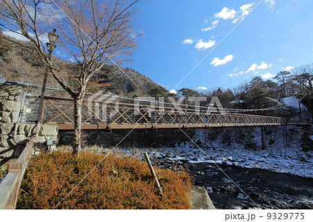 七ツ岩吊橋 七ツ岩吊橋 9329775