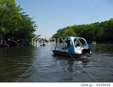石神井公園のボートの写真素材