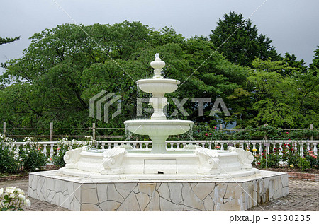 噴水 水 庭 庭園 ガーデン ガーデニング 西洋 洋風 白の写真素材