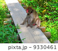 猿 9330461
