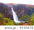 滝 9330478