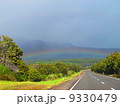 虹 9330479