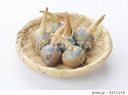 くわい 9331358