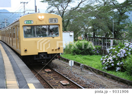 引退間近の101系 9331906