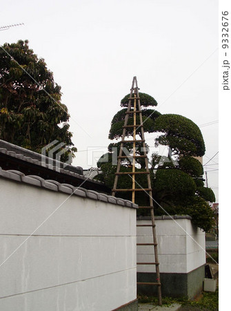 庭の剪定 庭の剪定 9332676