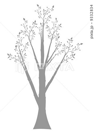 Olive Tree Olive Tree 9332834