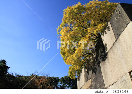 江戸城趾 江戸城趾 9333143