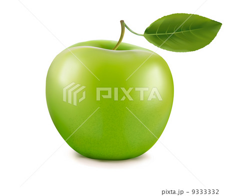 Green apple. Vector Green apple. Vector 9333332