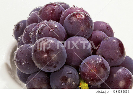 ぶどう・巨峰・日本原産 9333632