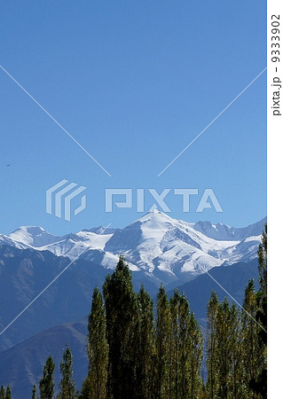 【インド】秘境の街Ｌｅｈ 9333902