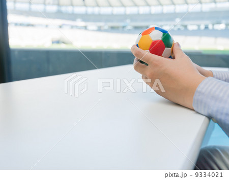 おもちゃのサッカーボール おもちゃのサッカーボール 9334021