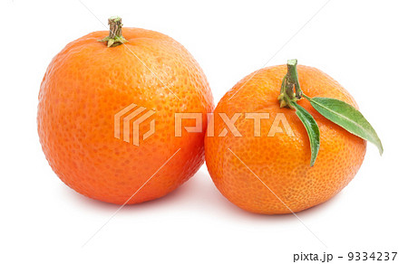 Tangerines 9334237