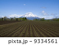羊蹄山 9334561