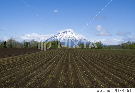 羊蹄山 羊蹄山 9334561