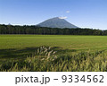 羊蹄山 9334562