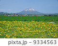 羊蹄山 9334563