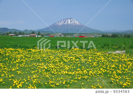 羊蹄山 羊蹄山 9334563