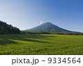 羊蹄山 9334564