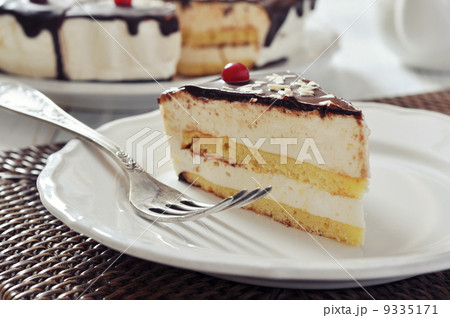 Piece of souffle cake 9335171
