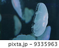 クラゲ 9335963