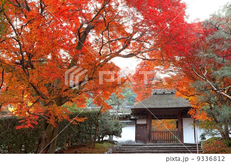 秋の安楽寺 秋の安楽寺 9336812