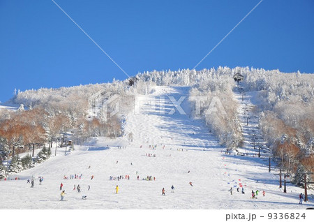 志賀高原スキー場 9336824