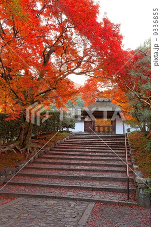 秋の安楽寺 9336855