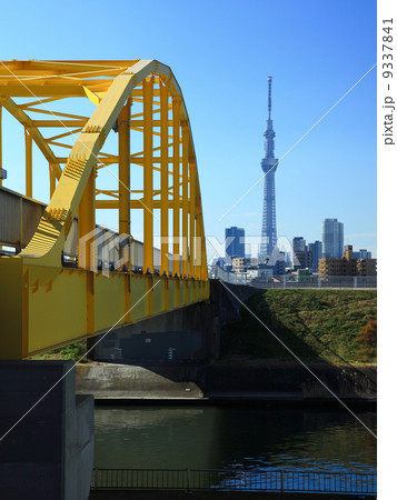 イエローブリッジとスカイツリー 9337841