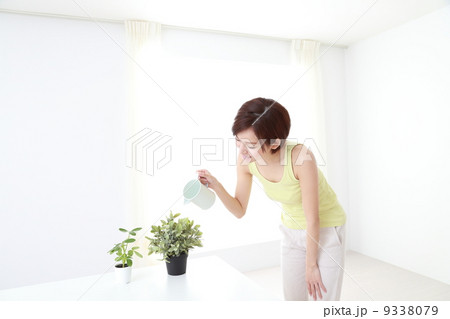 植物に水やり 9338079