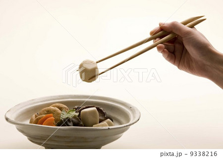 筑前煮 9338216