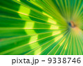 葉 9338746