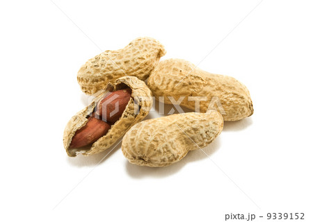 peanut 9339152