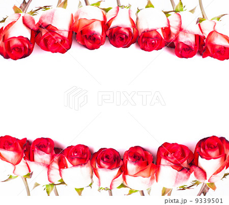 Red roses in a row Red roses in a row 9339501
