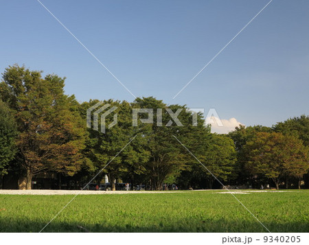 富士見市水子貝塚公園 富士見市水子貝塚公園 9340205