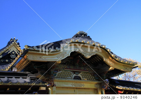 上野東照宮唐門 9340246
