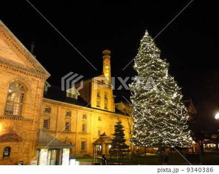 サッポロビール園のイルミネーション 9340386