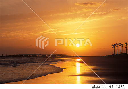 青島の日の出３ 9341825