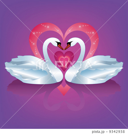 Two white swans 9342938