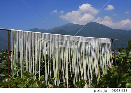 かんぴょう 9343453