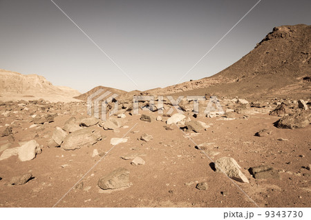 Desert landscape 9343730
