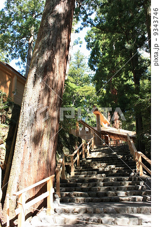 式年遷宮 9343746