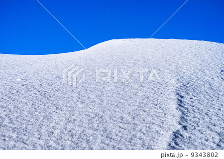 雪原 雪原 9343802