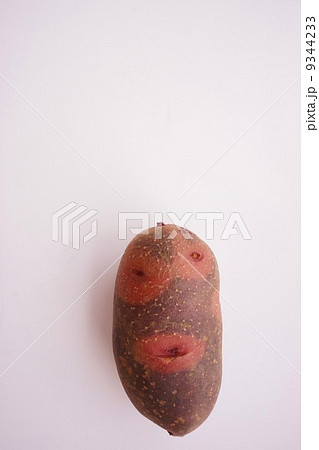 グランドペチカ　デストロイヤー 9344233