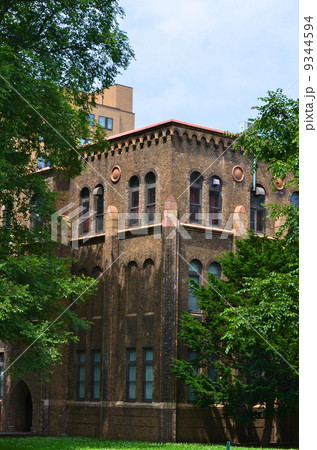 北海道大学総合博物館 9344594