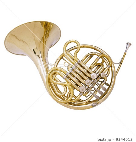 Gold French Horn  9344612
