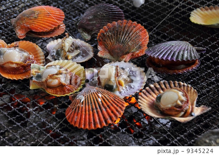 海鮮焼き 9345224