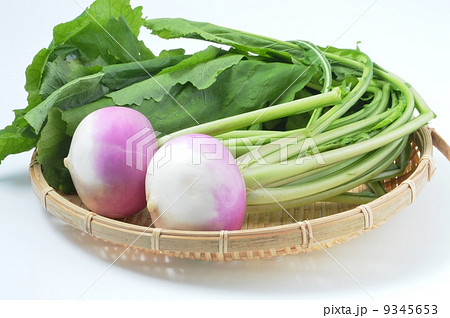 赤カブ　あやめ雪 9345653